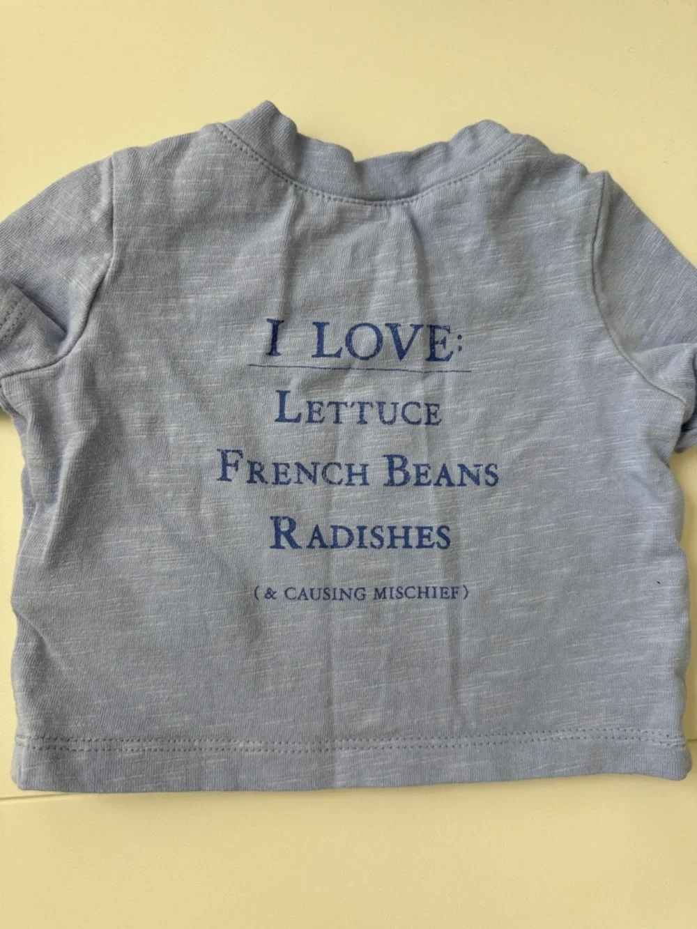 BabyGap Peter Rabbit 2 Piece Set Tshirt and Shorts Set Blue Size 0-3 Months
